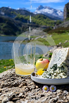 Pouring in glass of natural Asturian cider made fromÂ fermented apples, Asturian cabrales cow blue cheese with view on Covadonga